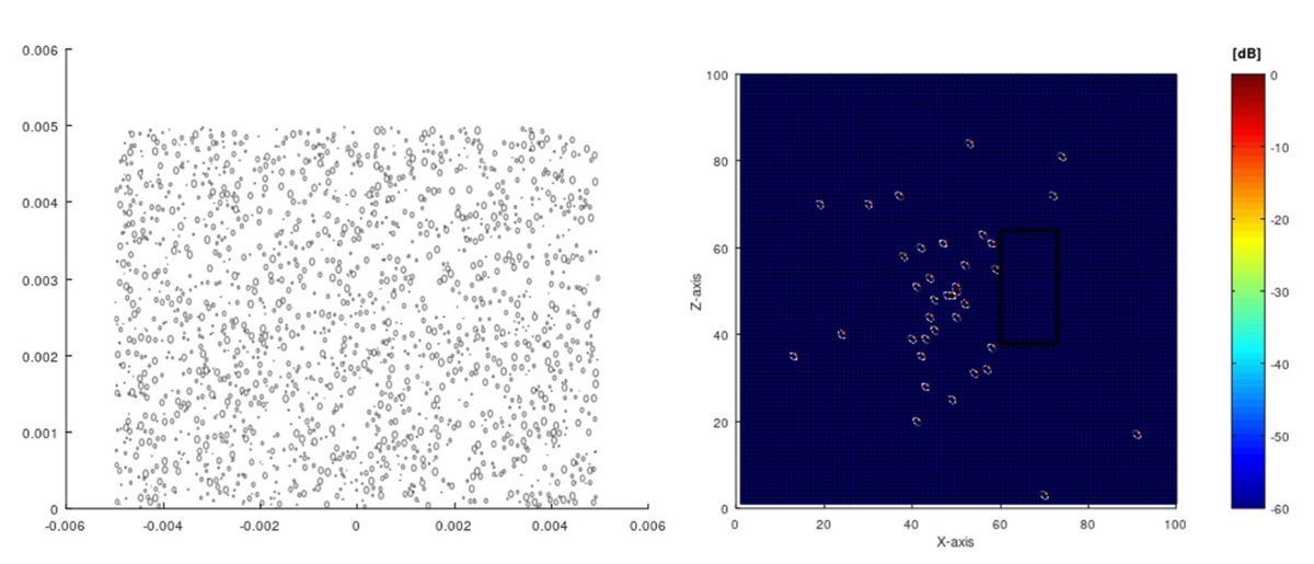 Two graphs, side by side, with the first showing a distribution of blood vessels via PPG imaging and the second showing light rays scattered on the photo detector.