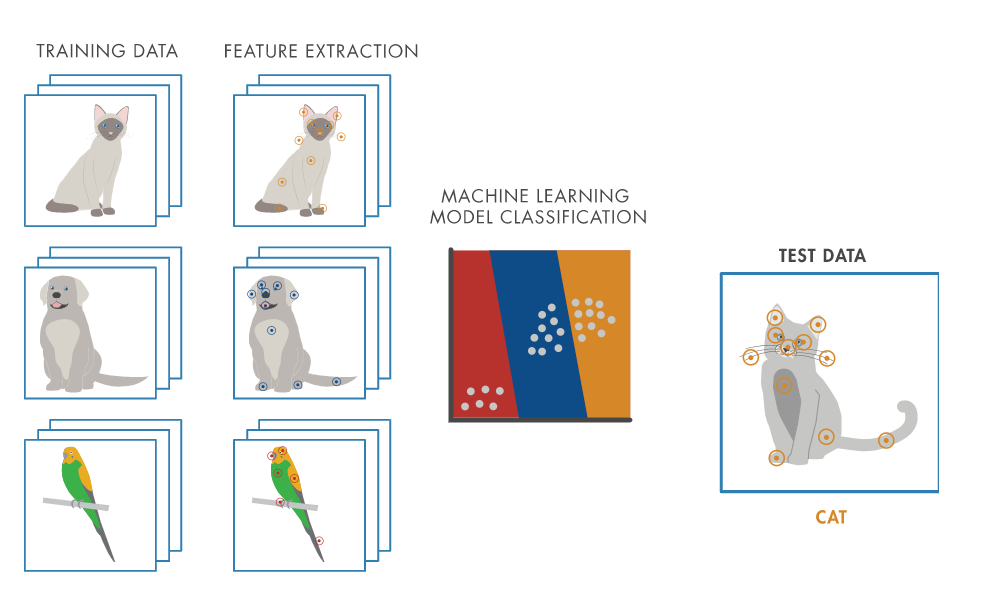 Machine Learning Workflow