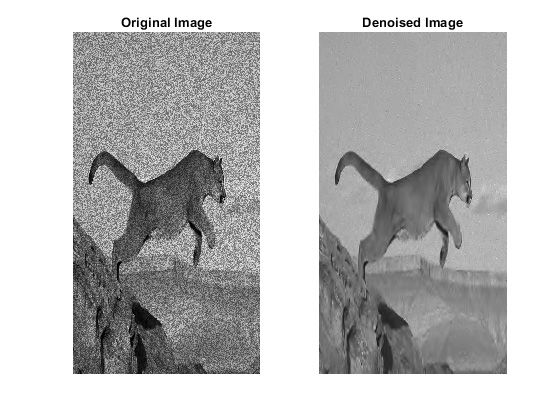 Original (left) and denoised (right) images. The image was denoised while preserving the edges using a  wavelet denoising function.