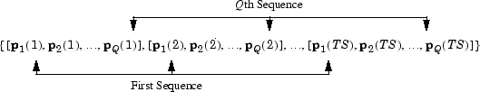 Format of the sequences