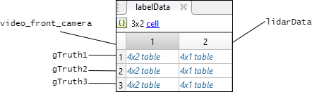 labelData cell array