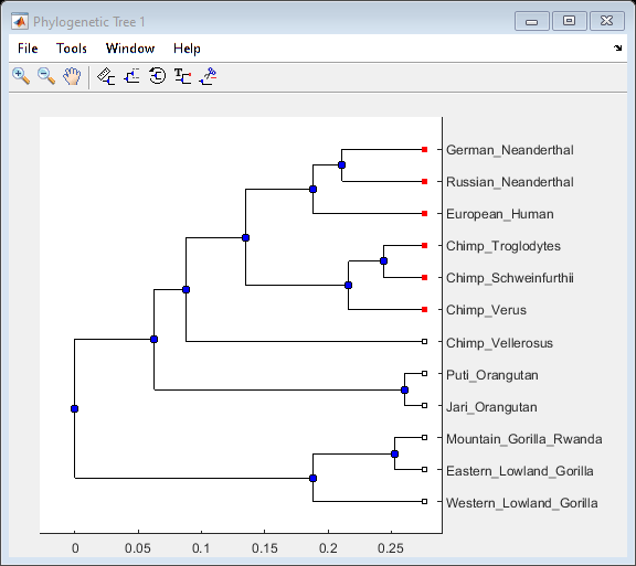 Building a Phylogenetic Tree for the Hominidae Species