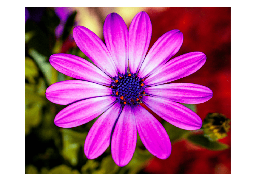 Figure contains an axes object. The hidden axes object contains an object of type image.