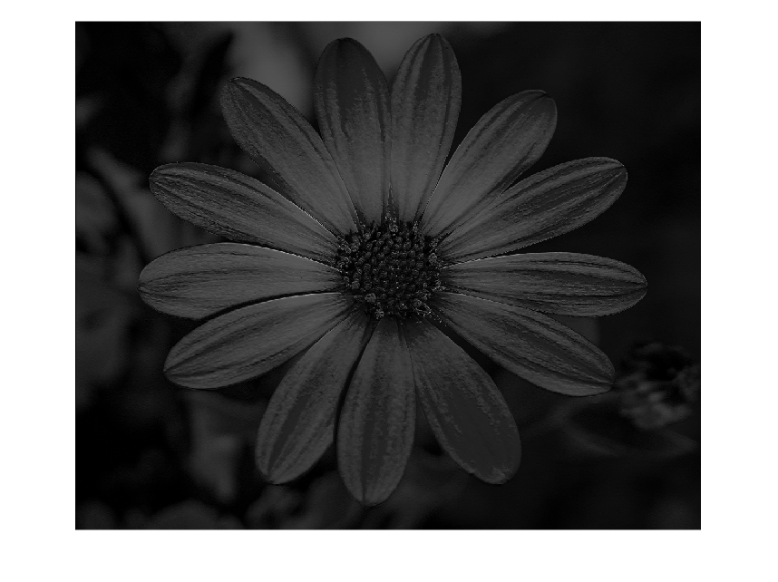 Figure contains an axes object. The hidden axes object contains an object of type image.