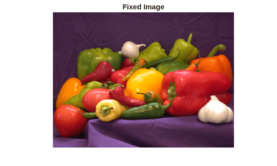 Figure contains an axes object. The hidden axes object with title Fixed Image contains 2 objects of type image, line. One or more of the lines displays its values using only markers