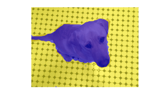 Figure contains an axes object. The hidden axes object contains an object of type image.
