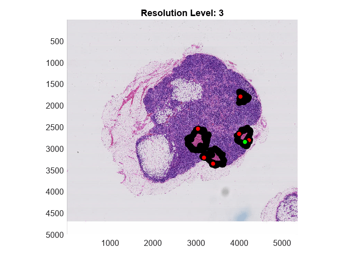 Figure contains an axes object. The axes object with title Resolution Level: 3 contains 8 objects of type bigimageshow, images.roi.polygon.