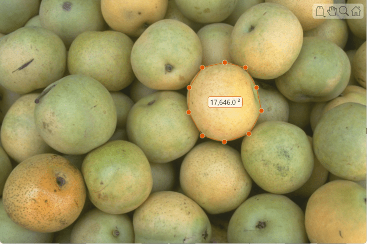 Pears image with polygon ROI with numeric label around one object