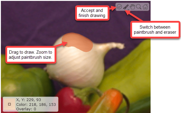 Screenshot of viewer in paintbrush mode, with labels indicating the accept and paintbrush icons in the toolbar, and showing how to draw and zoom in the image canvas to adjust the relative paintbrush size