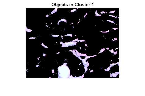 Figure contains an axes object. The hidden axes object with title Objects in Cluster 1 contains an object of type image.