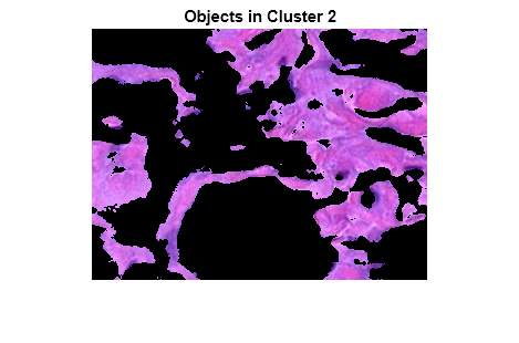 Figure contains an axes object. The hidden axes object with title Objects in Cluster 2 contains an object of type image.