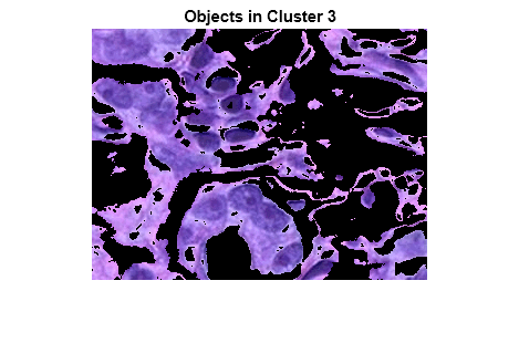 Figure contains an axes object. The hidden axes object with title Objects in Cluster 3 contains an object of type image.