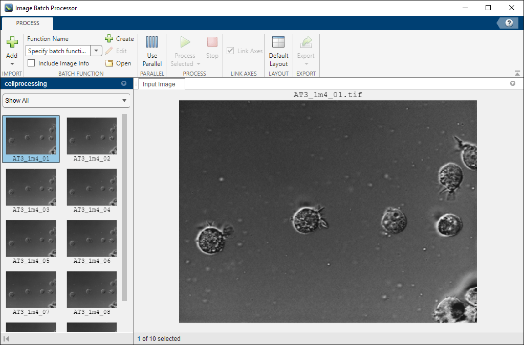 Image Batch Processor app window with cell images loaded in the browser
