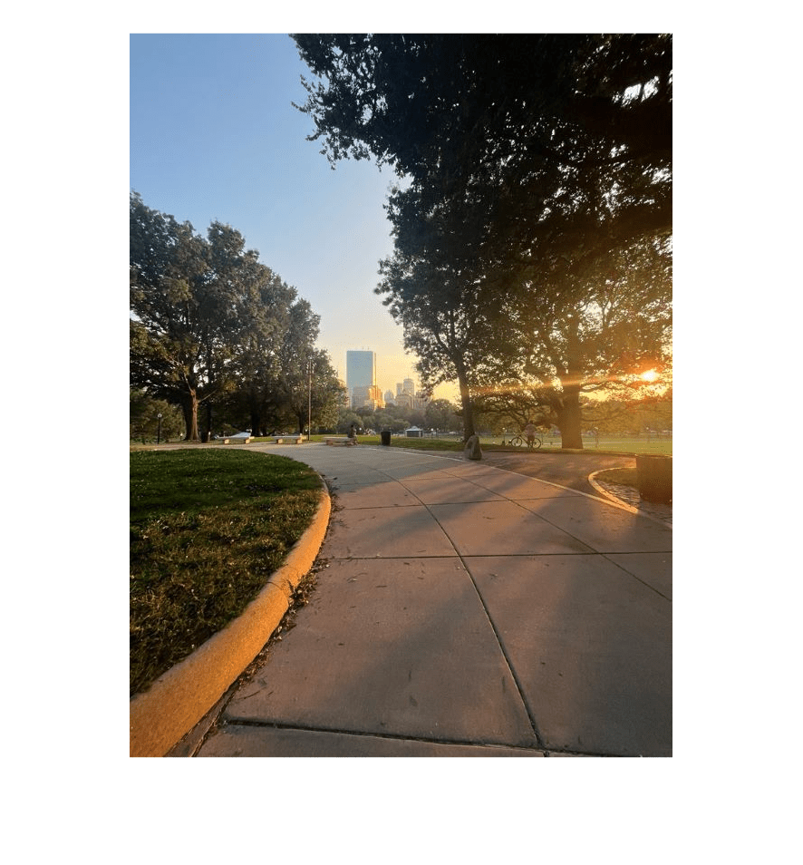 Figure contains an axes object. The hidden axes object contains an object of type image.