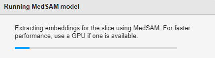 Running MedSAM model dialog box