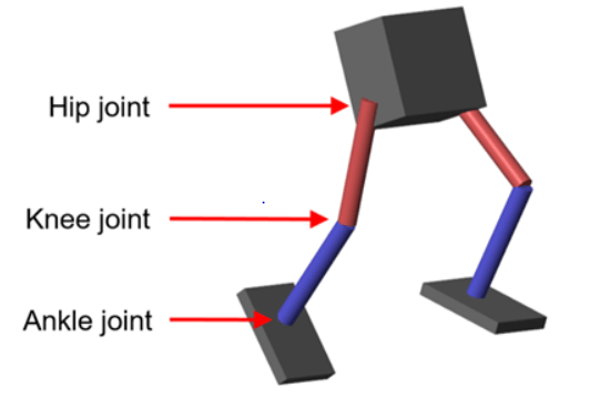 Biped robot with labeled hip, knee, and ankle joints on each leg