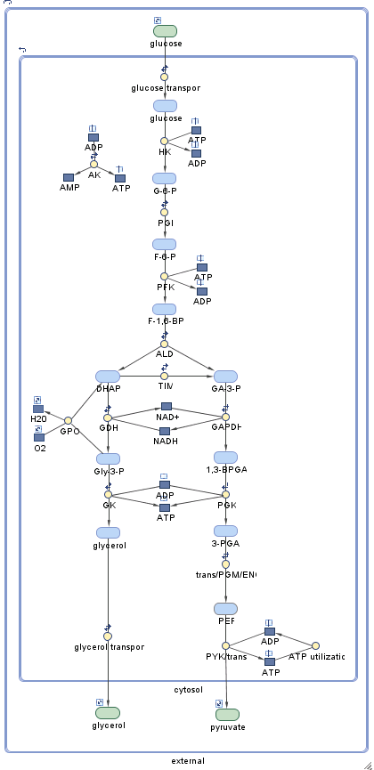 Finding Conserved Quantities in a Pathway Model