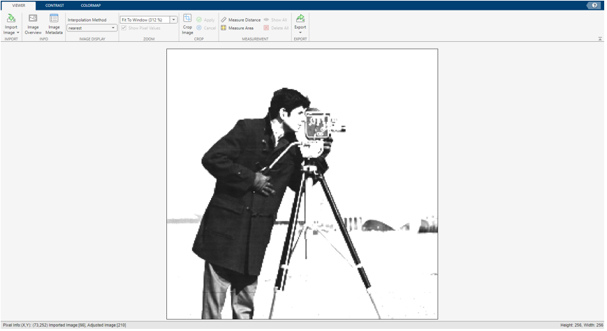 Image Viewer app showing grayscale image with a modified display range