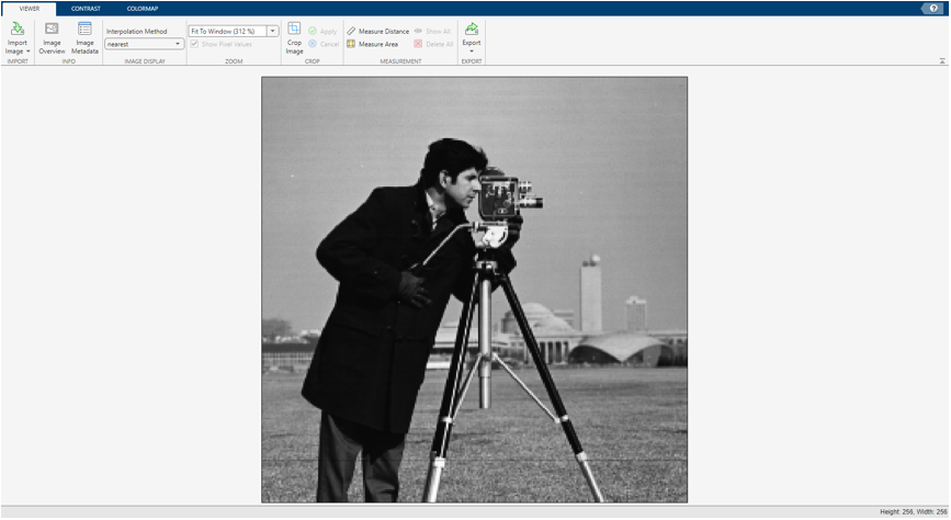 Image Viewer app showing grayscale image with the default display range