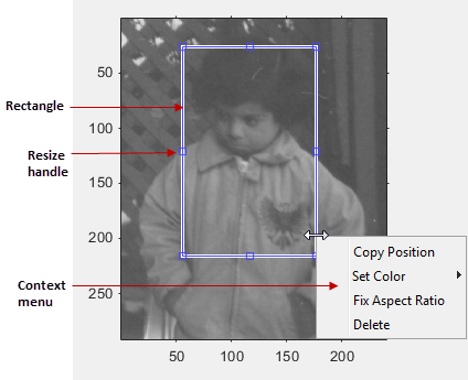 Blue rectangle displayed over an image, with draggable points to resize the rectangle and a context menu that gives options to copy the position, set the color, fix the aspect ratio, or delete the rectangle.