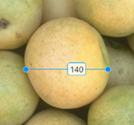 Blue Line ROI drawn over the widest part of an object in an image.