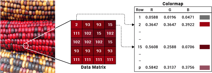 Image of three ears of corn and its data matrix and colormap. The data matrix contains integer values that map into the colormap, which contains red, green, and blue values for pixel colors.