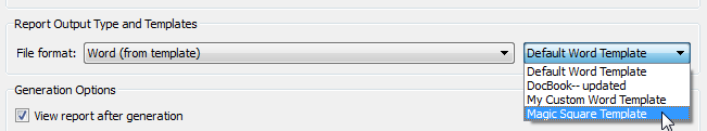 Report Options dialog box with File Format set to Word (from template) and Magic Squares Template selected in the adjacent drop-down menu