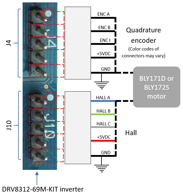 BLY connection