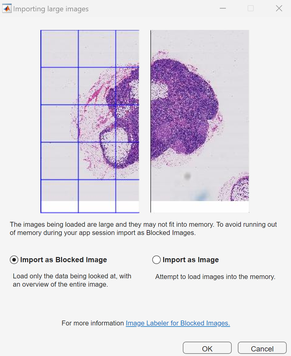 The Importing Large Images dialog box in the Image Labeler.