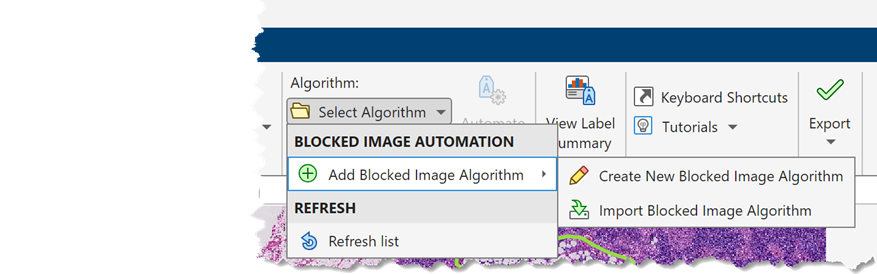 Select Blocked Image Automation in the Image Labeler.