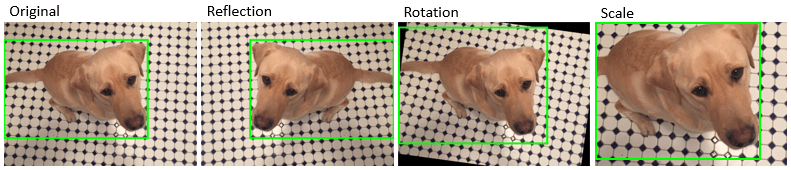 From left to right, the figure shows the original image with a bounding box, and the resulting images with corresponding bounding boxes after reflection, rotation, and scaling.