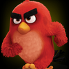 AngryBird