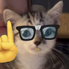 Vu